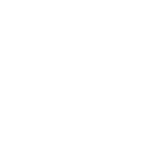 Os seus direitos Os seus direitos